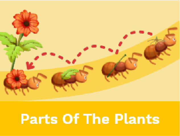 Plants Games for Kids 17 tool