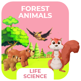 Animal Games for Kids 29 forest animals.png Kopyasi