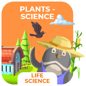 Plants Games for Kids 27 plants science
