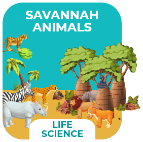 Animal Games for Kids 39 savannah animals